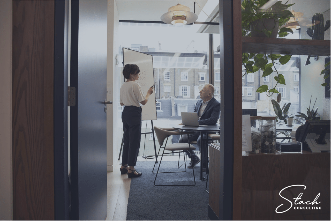 Marketing consultant presenting to business owner in board room